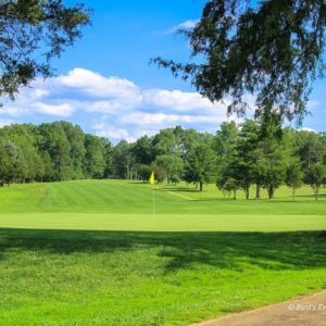 Flag on golf course green with trees