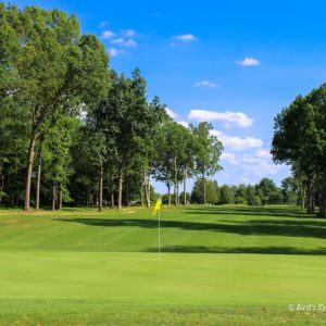 Golf course fairway with trees and yellow flag above hole