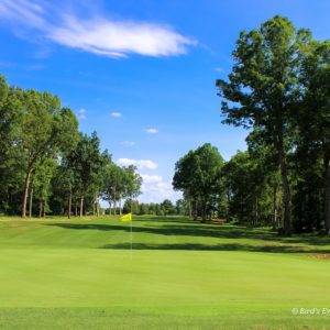 Golf course green with flag near hole and trees on fairway