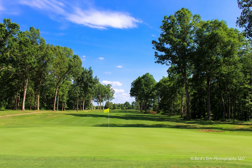 Yellow flag on golf course with trees