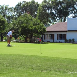 Golfer in a white shirt taking a swing at hole near clubhouse