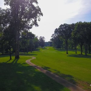 Path on golf course 