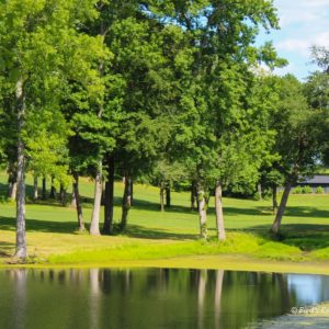 Golf course and trees