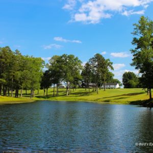 Water on golf course with trees