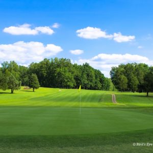 Manicured golf course greens