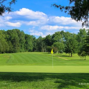 Flag on golf course